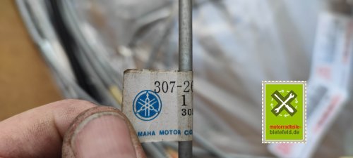 IMG_20230828_103817